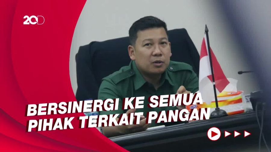 Jadi Kepala Badan Pangan Nasional, Ini yang Akan Dilakukan Arief Prasetyo
