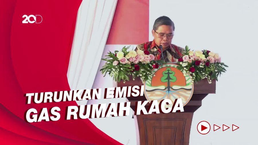 KLHK Targetkan Tahun 2030 Indonesia Capai Net Sink Sektor Kehutanan