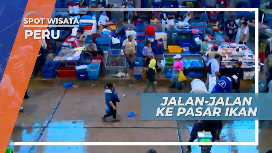 Jalan-Jalan Ke Pasar Ikan Villa Maria del Triunfo Peru