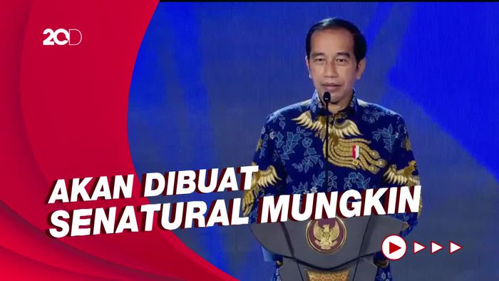 Jokowi Tepis Pembangunan IKN Merusak Hutan