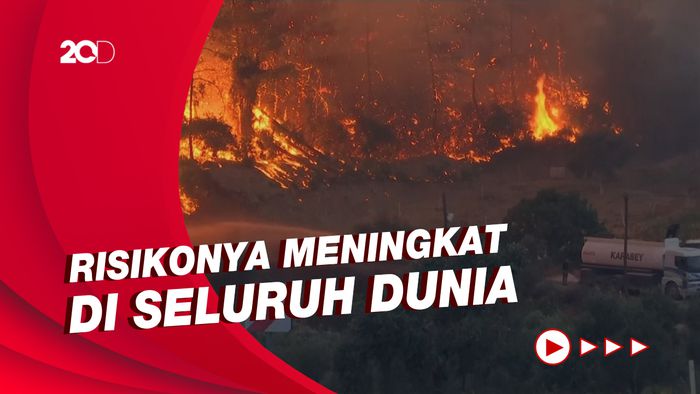 Ngeri! Kebakaran Hutan di Dunia Diprediksi Bakal Makin Ekstrem