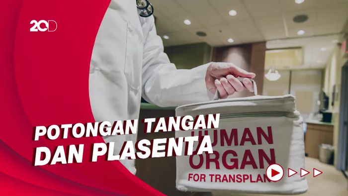 Kepolisian Brasil Sebut Desainer Indonesia Pesan Paket Organ Manusia