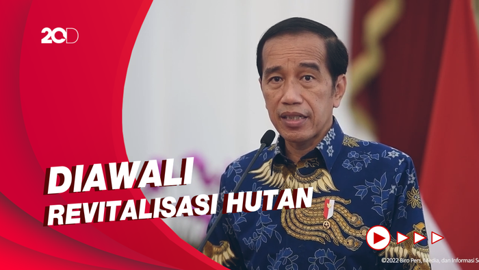Jokowi Beberkan Tahapan Pembangunan IKN Nusantara