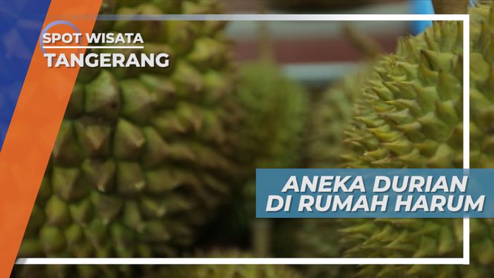 Mengunjungi Resto Serba Durian, Surga Bagi Pecinta Buah Berduri, Tangerang