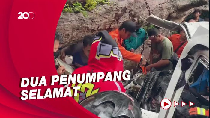Seorang Penumpang Mobil Pikap Tewas Tertimpa Pohon di Sukabumi