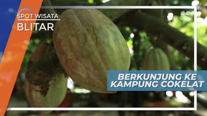 Mengunjungi Tempat Wisata Edukasi yang Banyak Cokelatnya, Blitar