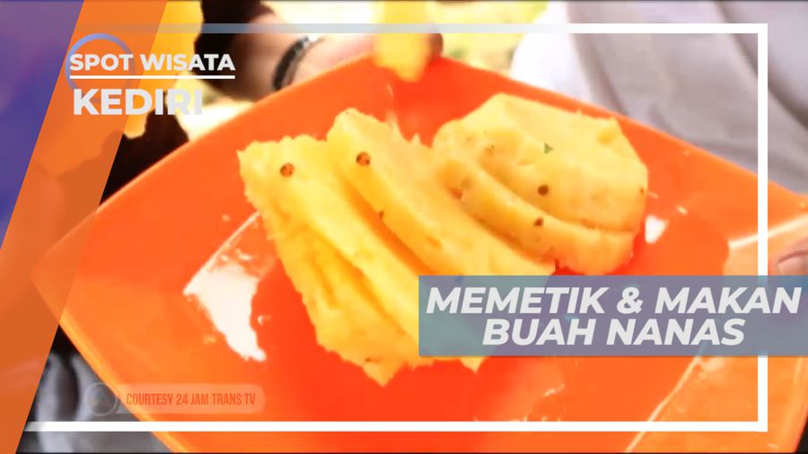 Menikmati Segarnya Buah Nanas Madu yang Super Manis dan Dagingnya yang Lembut, Kediri
