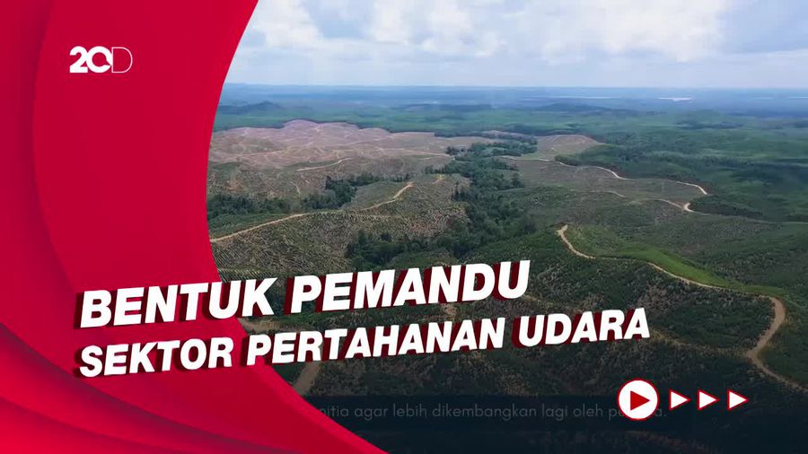 TNI AU Akan Bangun Pangkalan-Perkual Wilayah Udara IKN Nusantara