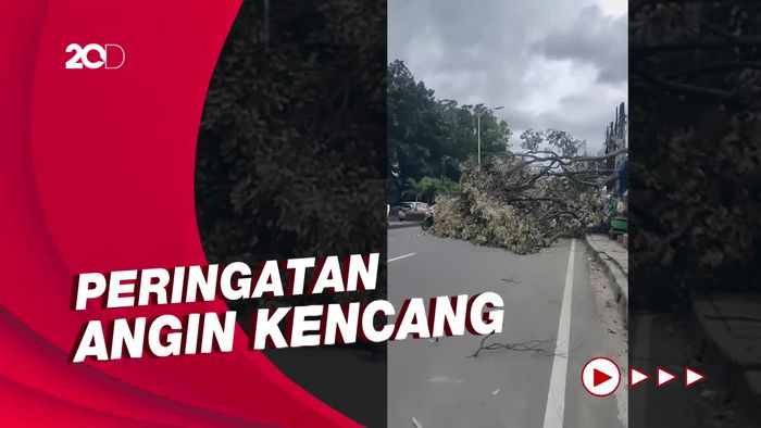Suasana Jabodetabek Diterjang Angin Kencang: Pohon Tumbang Timpa Truk