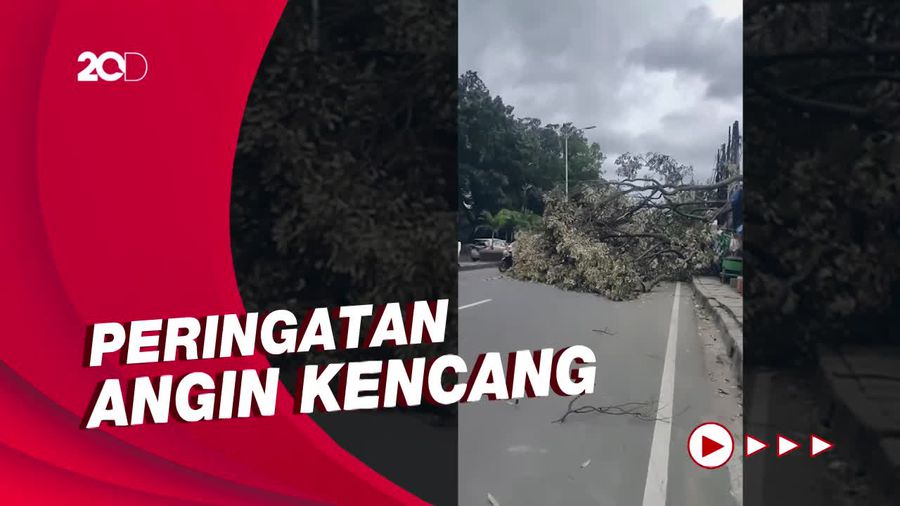 Suasana Jabodetabek Diterjang Angin Kencang: Pohon Tumbang Timpa Truk