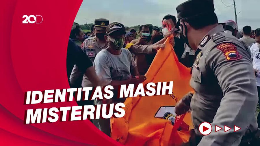 Geger Penemuan Mayat Wanita Misterius di Sawah Tegal