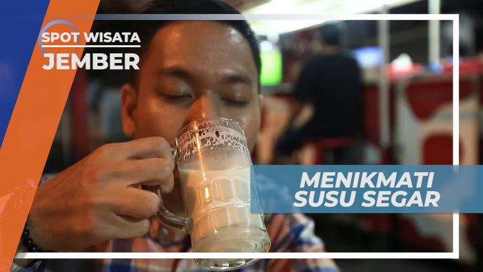 Mencicipi Kesegaran Susu Murni Segar di Jember