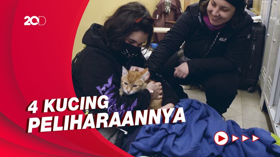 Wanita Ukraina Ini Bawa Kucingnya untuk Ngungsi