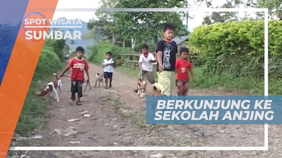 Sekolah Untuk Anjing-anjing Lucu di Sumatera Barat