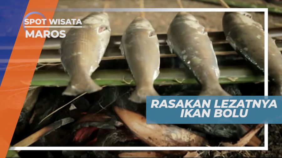 Kuliner Ikan Bolu Khas Berau, Lezat dengan Aroma Tradisional, Maros