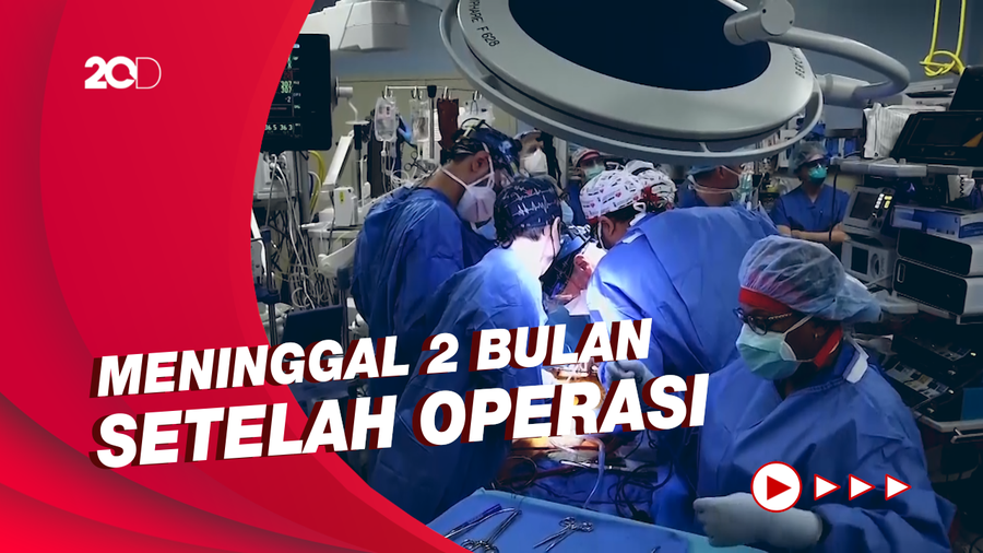 Pasien Pertama Penerima Cangkok Jantung Babi Meninggal, Ini Kata Ahli