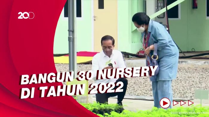 Momen Jokowi Tinjau Persemaian Modern Rumpin Bareng Megawati