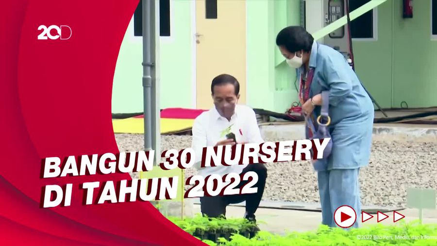 Momen Jokowi Tinjau Persemaian Modern Rumpin Bareng Megawati
