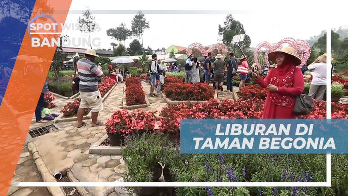 Mengenal Ragam Bunga di Taman Begonia Bandung