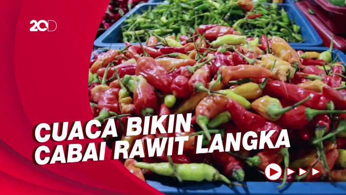 Harga Cabai Rawit di Bandung Tembus RP 70 Ribu Per Kg!