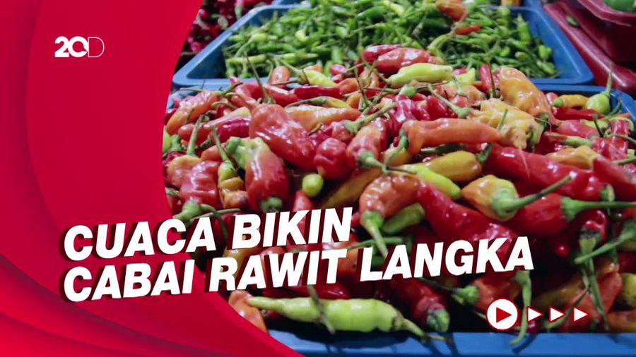 Harga Cabai Rawit di Bandung Tembus RP 70 Ribu Per Kg!
