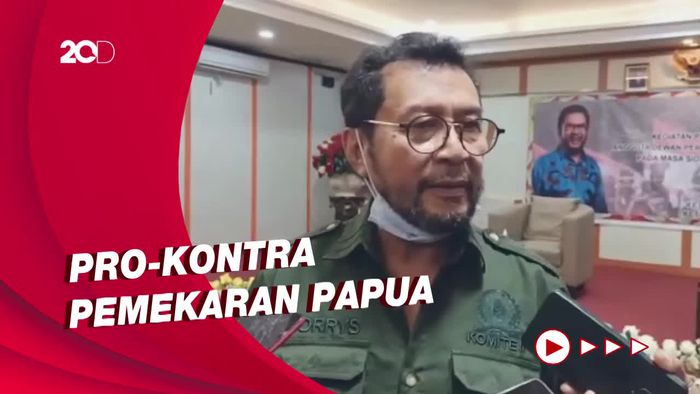 Pemekaran Papua Rumit, DPD: Pemerintah Pusat Harus Sosialisasi