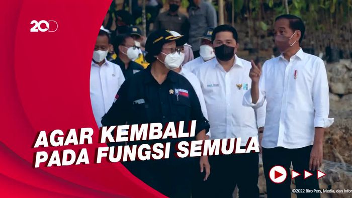 Jokowi: Pembangunan IKN Diawali dengan Rehabilitasi Hutan