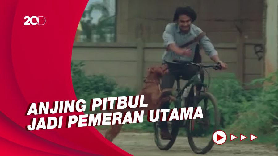 Sentil Isu Perdagangan Anjing Lewat Film Marley