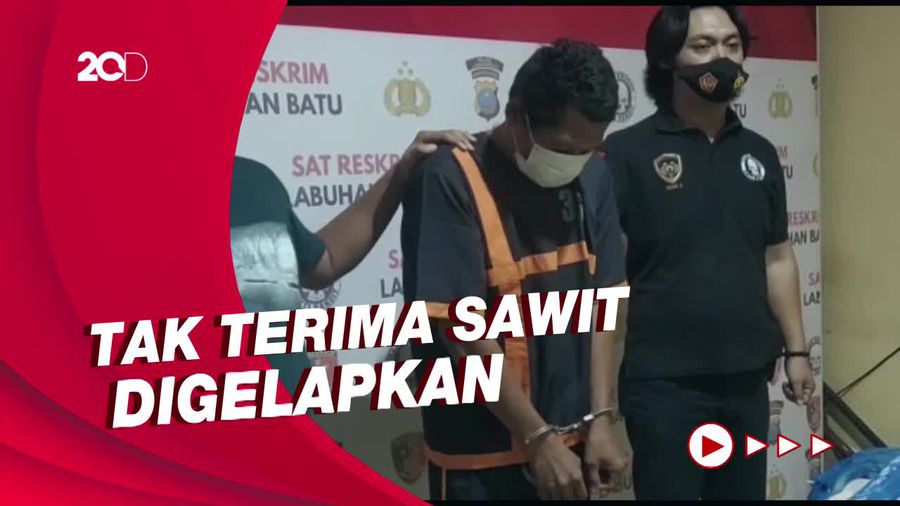 Gelapkan 500 Kg Sawit, Pekerja di Labusel Sumut Dibakar Majikan!