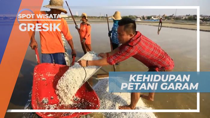 Aktivitas Sehari-hari Petani Garam di Kota Bandeng, Gresik