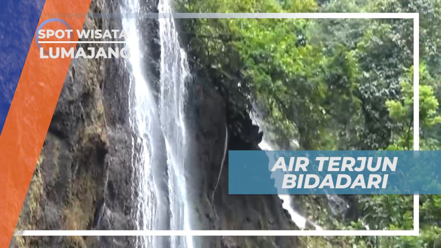 Air Terjun Bidadari, Keindahan Alam yang Tersembunyi di Tengah Hutan Belantara, Lumajang
