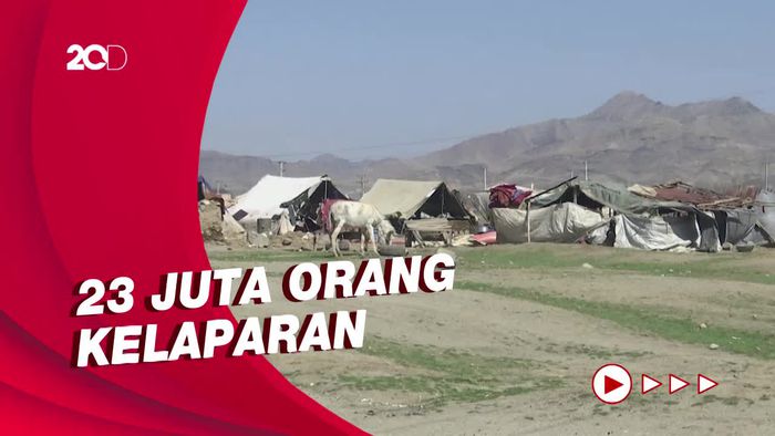 PBB: Saat Dunia Fokus ke Ukraina, Tolong Jangan Lupakan Afghanistan