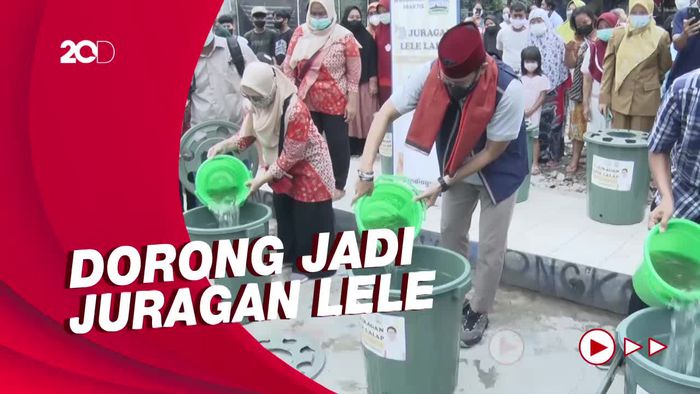 Sandiaga Uno Dorong Warga Petamburan Jadi Juragan Lele Lewat Budikdamber