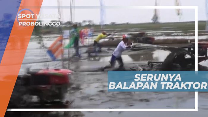 Serunya Balapan Hand Traktor Saat Musim Tanam Tiba, Probolinggo