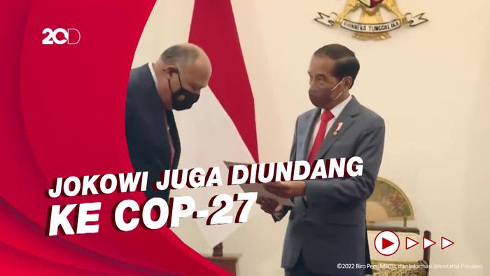 Terima Menlu Mesir, Jokowi Bahas Kerja Sama Ekonomi Hingga Pendidikan