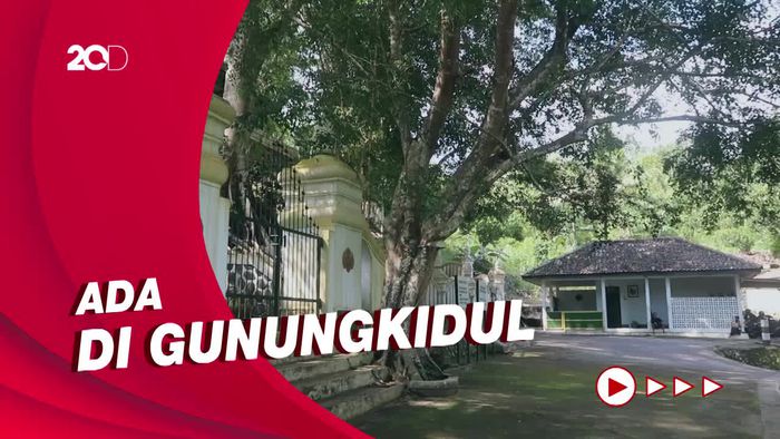 Kembang Lampir, Tempat Pertapaan yang Jadi Favorit Pejabat