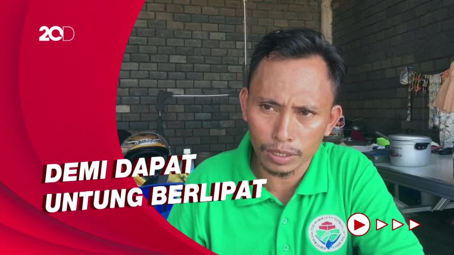 Cerita Warga Mandalika, Mengungsi saat Rumahnya Dijadikan Penginapan
