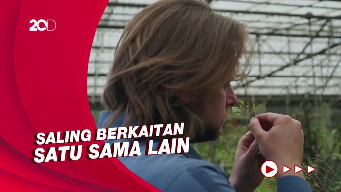 20 Spesies Anggrek Baru Ditemukan di Kosta Rika