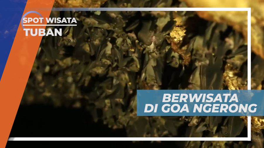 Goa Ngerong, Mitos Dibalik Ribuan Ekor Kelelawar, Tuban