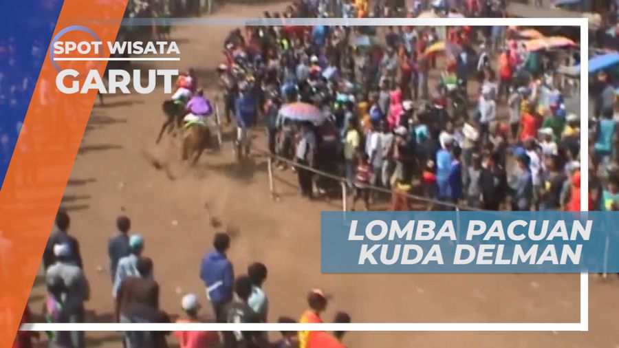 Pacuan Kuda Delman, Adu Cepat Berpacu Menuju Garis Finish, Garut