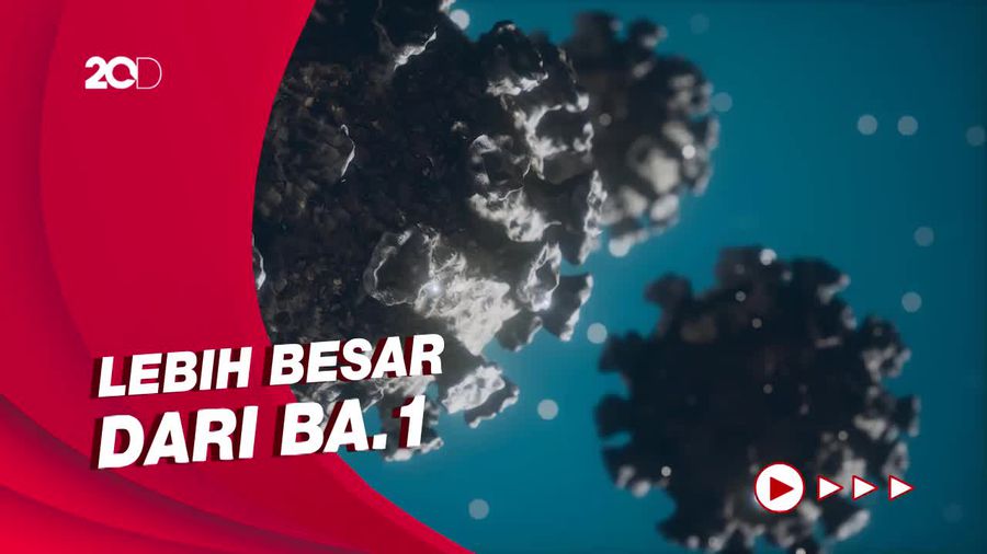 Risiko Reinfeksi Subvarian BA.2 pada Penyintas Covid