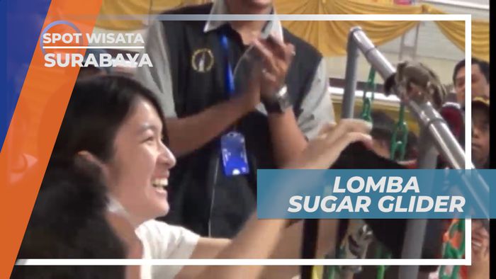 Lucu dan Imut, Lomba Sugar Glider Surabaya