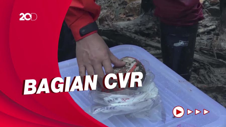 Penampakan Black Box Boeing 737-800 yang Jatuh di China Ditemukan!