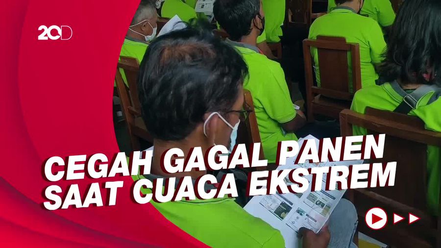Antisipasi Gagal Panen, Petani Kulon Progo Belajar Ilmu Titen