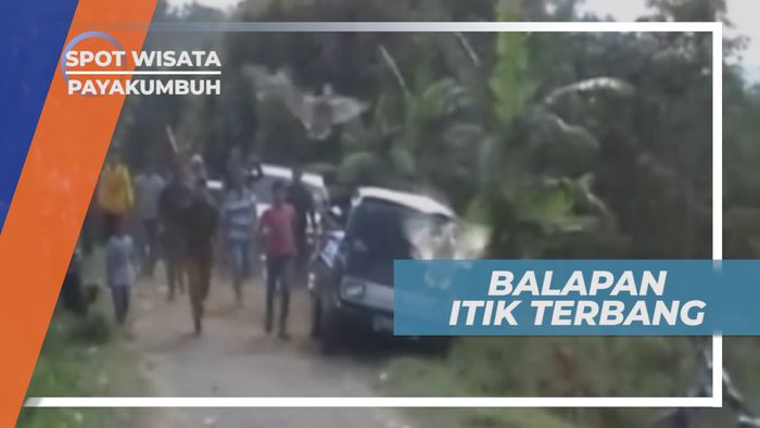 Kegiatan Unik Warga Payakumbuh, Balap Itik Terbang