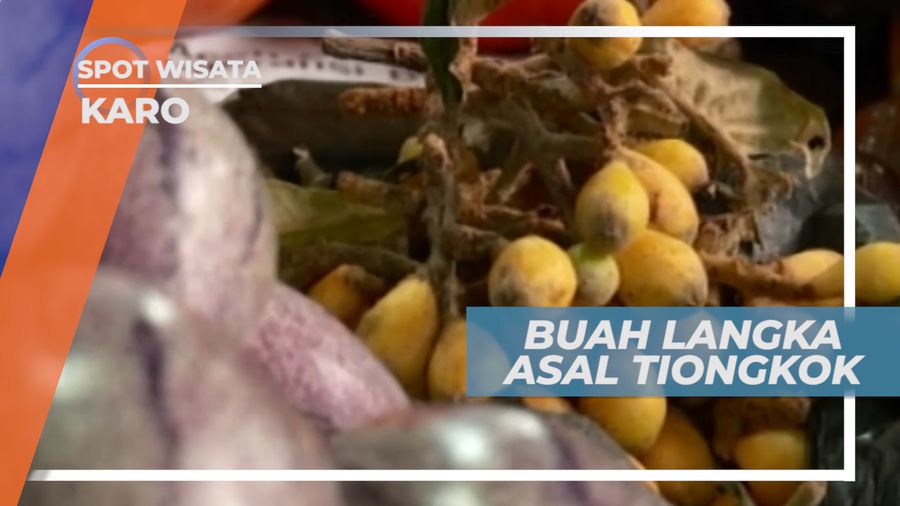 Biwa, Buah Asal Tiongkok yang Langka, Karo