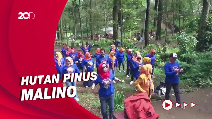 Asyiknya Senam Sambil Nikmati Keindahan Hutan Pinus