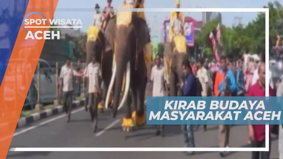 Dari Kuda Hingga Gajah Turut Memeriahkan Kirab Budaya Aceh