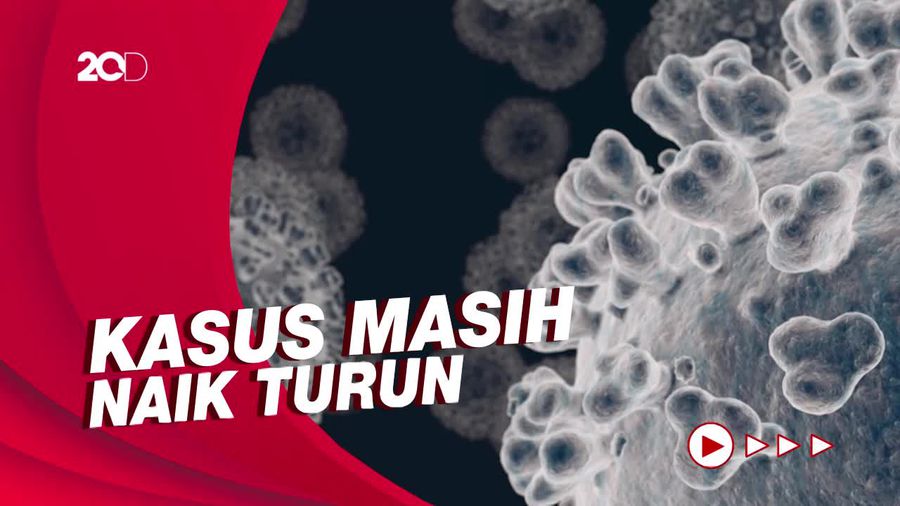 Perlahan Melandai, Berikut Rekap Kasus Covid-19 RI dalam Sepekan
