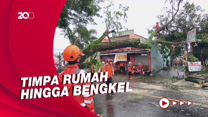 Hujan Angin Terjang Ciamis, Sejumlah Pohon di Jalan Nasional Tumbang!